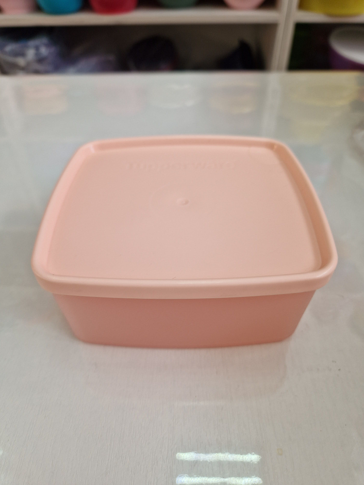 Контейнер Хранитель (490 мл) Tupperware #1