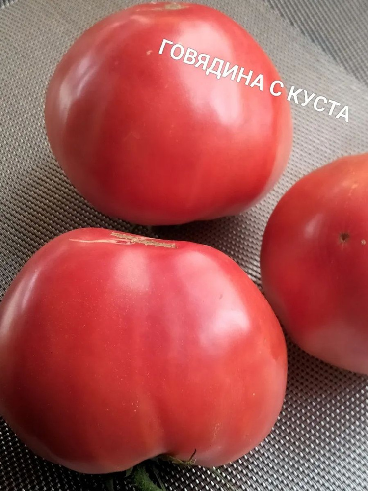 Семена #1