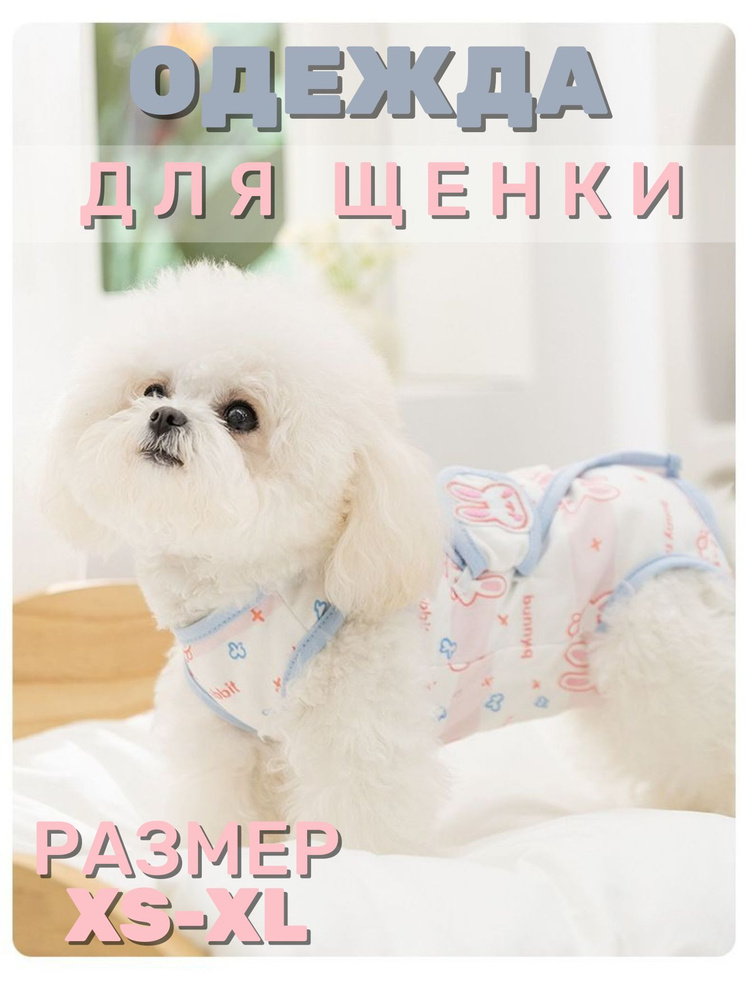 Одежда для животных #1