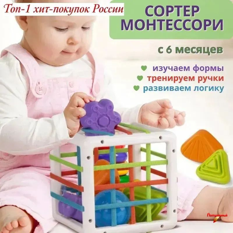 Сортер #1