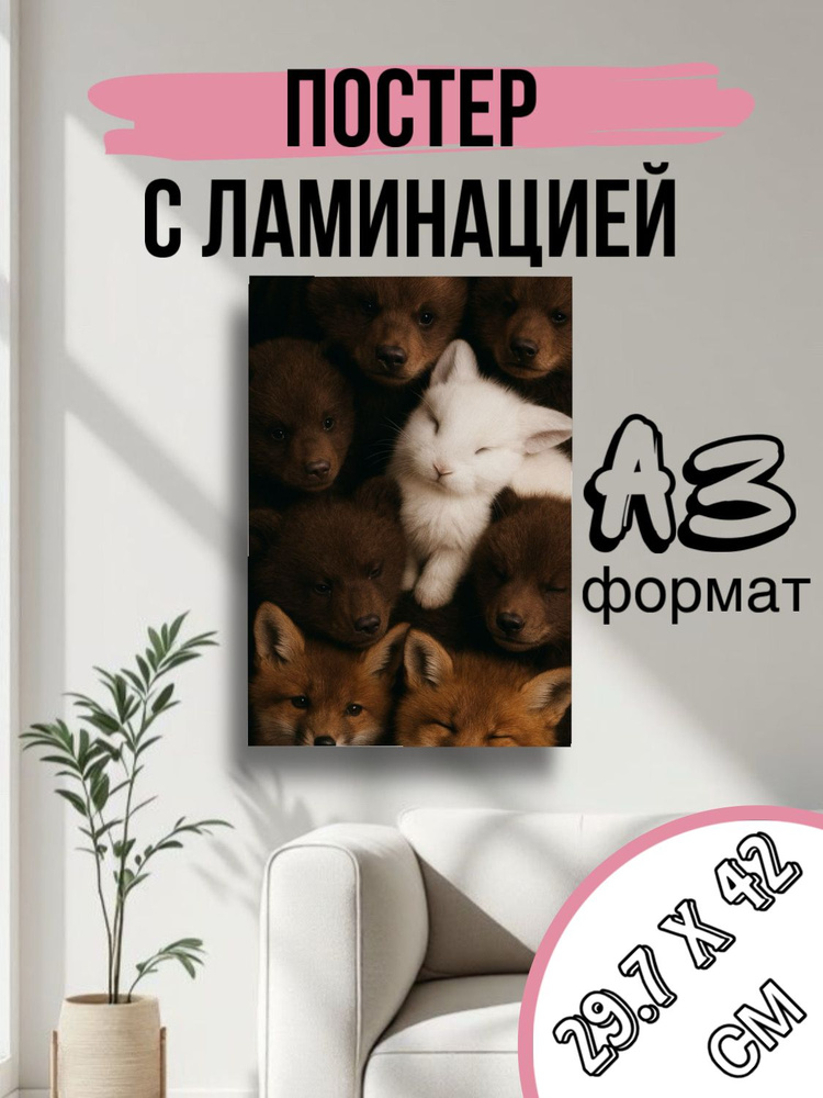 Постер, 42х30 см #1