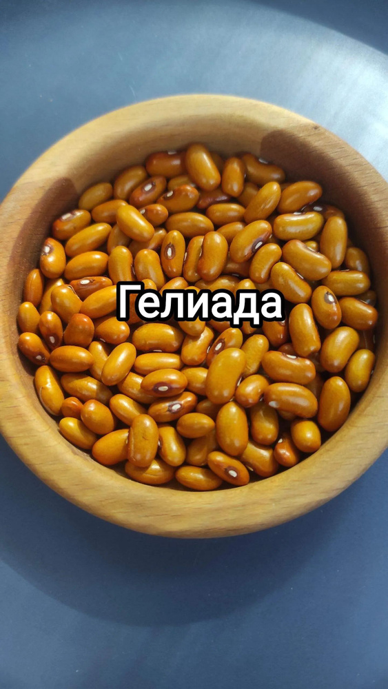 Гелиада #1