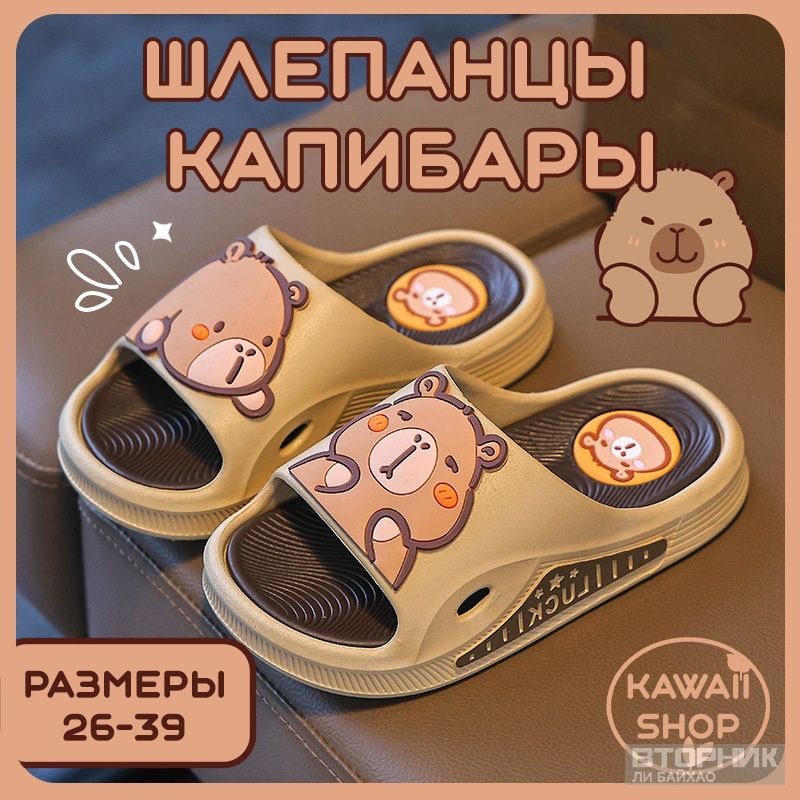 Шлепанцы #1