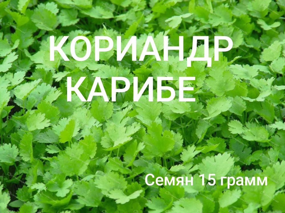 Семена #1