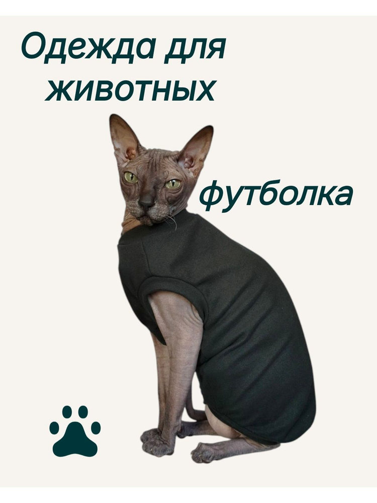 Одежда для животных #1