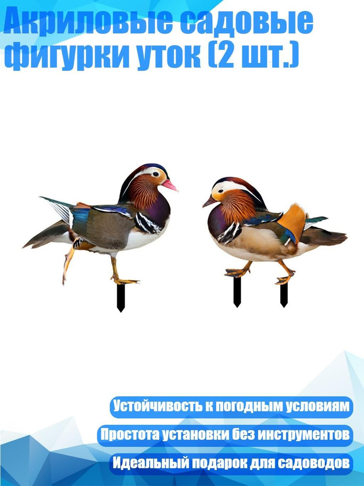 Черенок 2 см #1