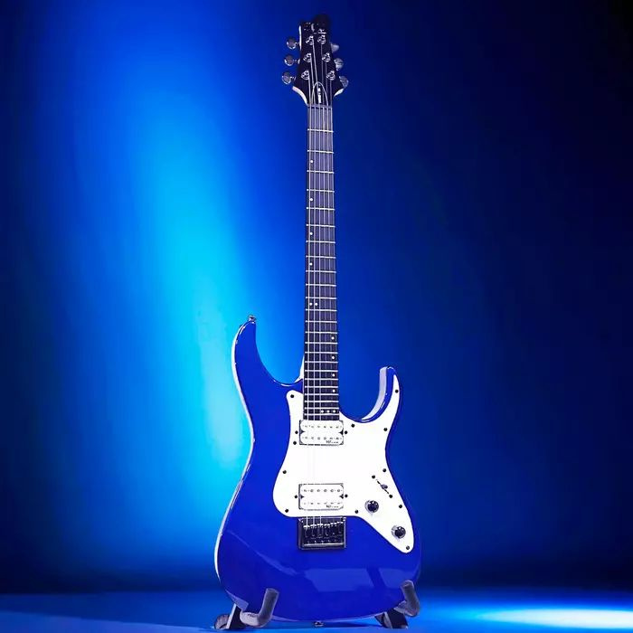 Schecter SGR Banshee-6 EB Электрогитара #1