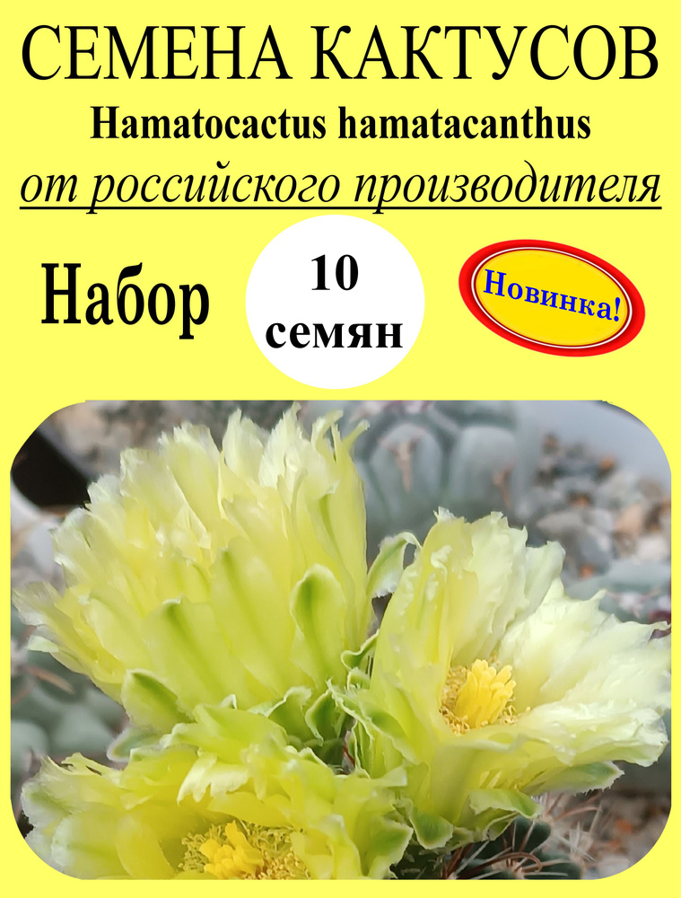 Семена #1