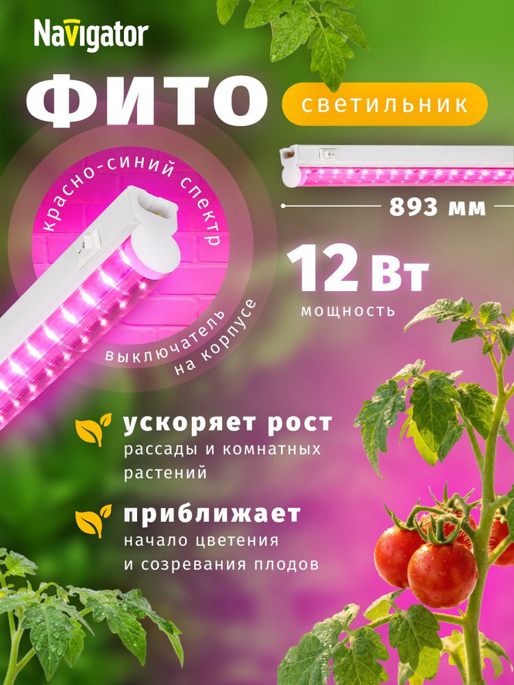 Фитолампа для растений Navigator NEL-FITO-12-LED, 12 Вт, красно-синий спектр, с выключ. 1 шт. #1