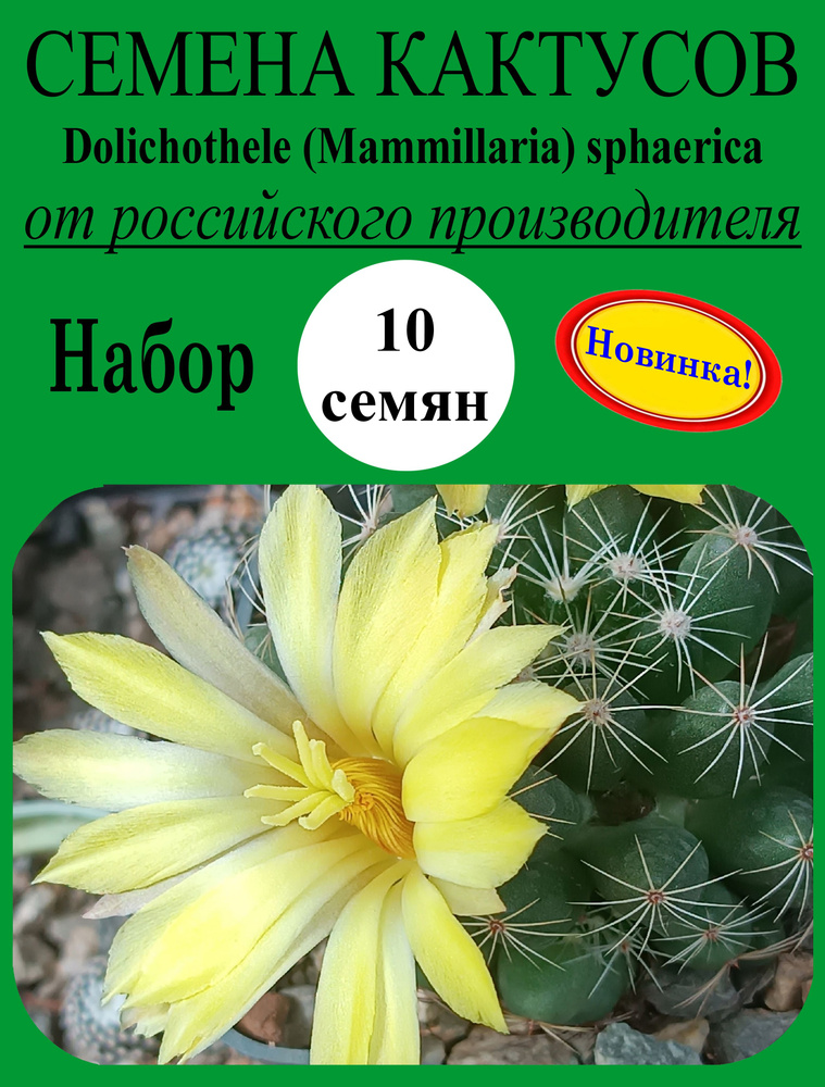 Семена #1