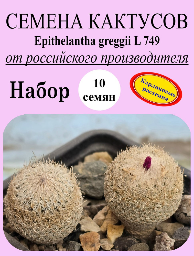 Семена #1