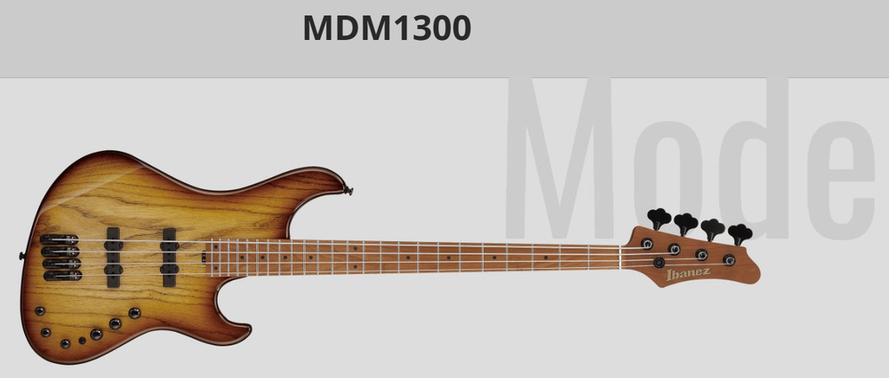 Бас-гитара IBANEZ Guitar #1