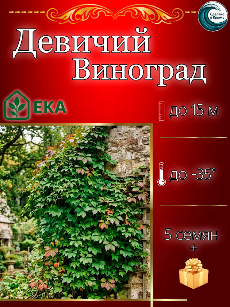 Семена ,5шт #1