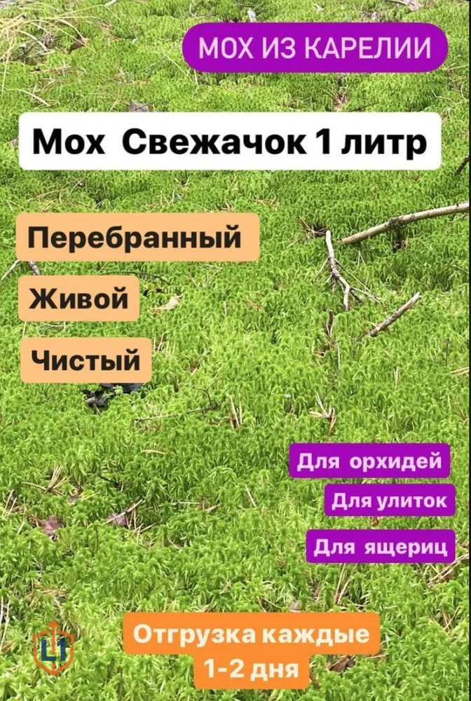Мох #1