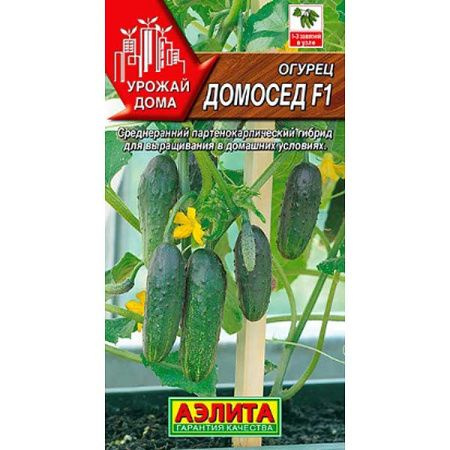 Огурец Домосед #1