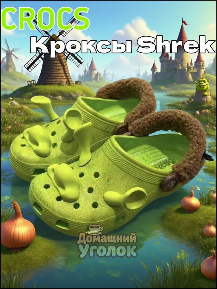 Шлепанцы #1