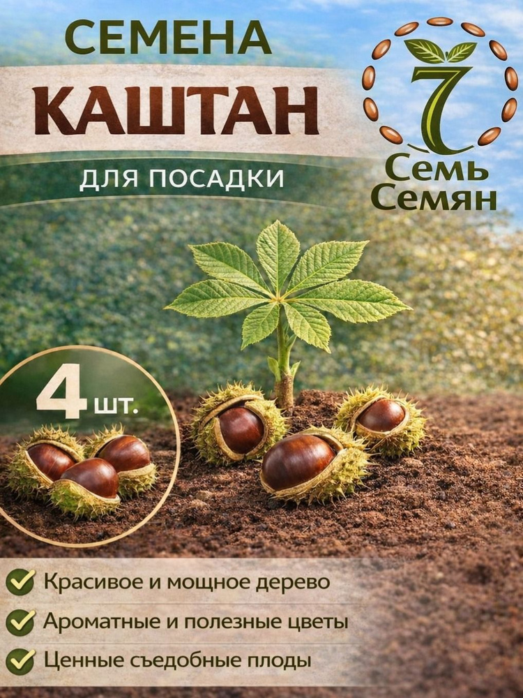Семена #1