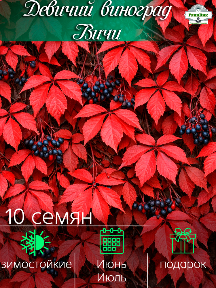 Семена ,10шт #1