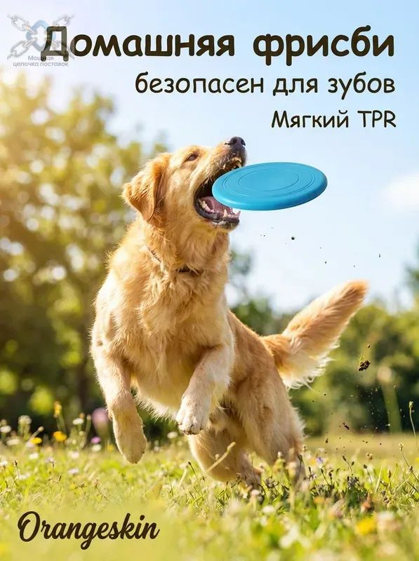 Фрисби #1