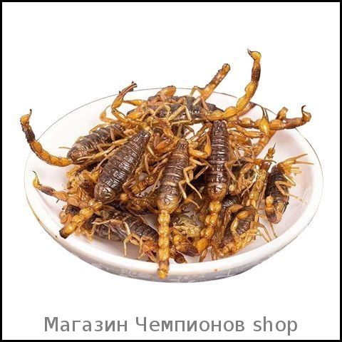 Закуска #1