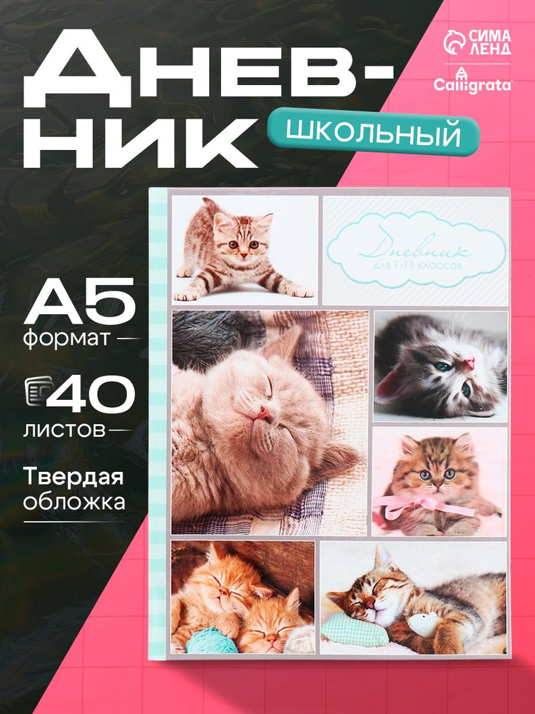Дневник школьный, 1-11 класс #1