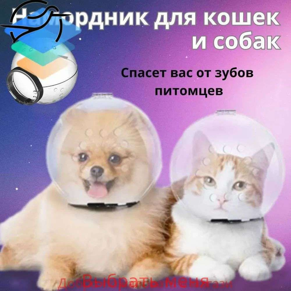 Намордник #1