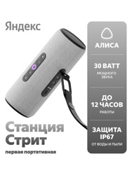 Умная беспроводная колонка Яндекс Станция Стрит с Алисой, 30 Вт, серая (YNDX-00030GRY)