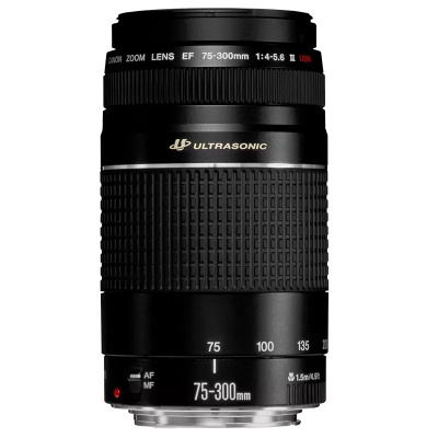 Canon EF 70-300MM F/4-5.6L Is Usm купить на OZON по низкой цене