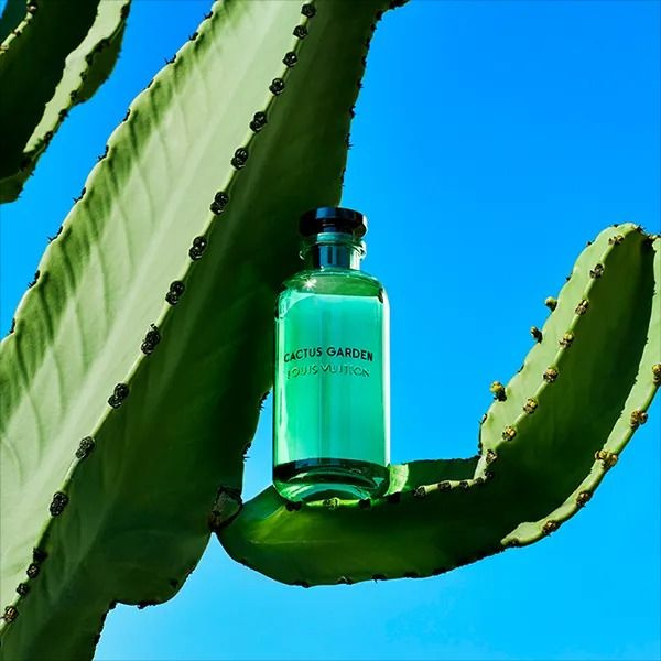 Louis Vuitton Духи Cactus Garden Edp 100 ml Unisex 100 мл купить на OZON по  низкой цене в Армении (1609128338)