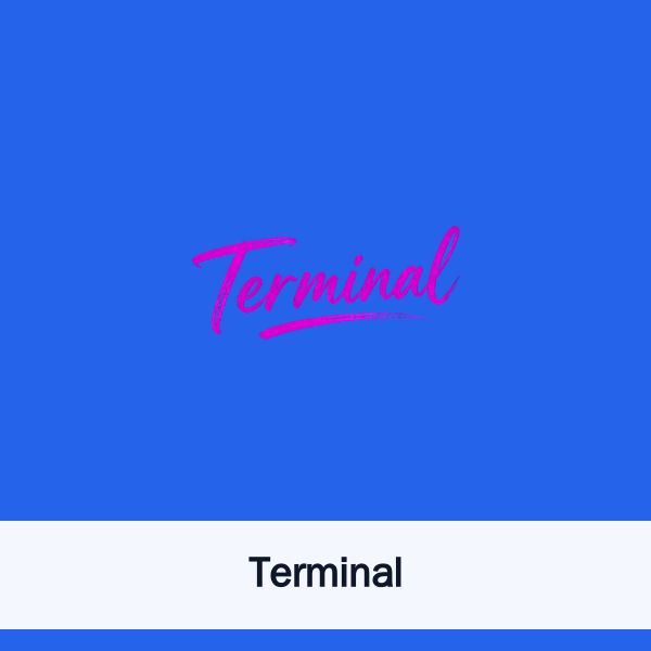 Terminal
