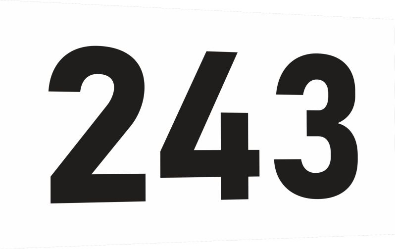 Табличка-номер 243 цвет черно-белый, размер 12х7 см, ПолиЦентр