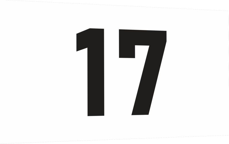 Табличка-номер 17 цвет черно-белый, размер 7х4 см, ПолиЦентр