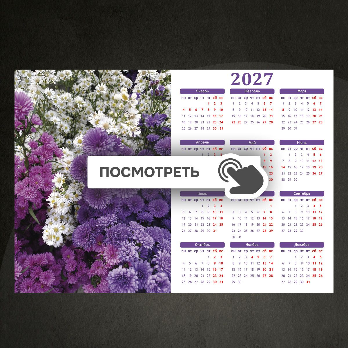 Календари "Хризантемы и ромашки в саду"