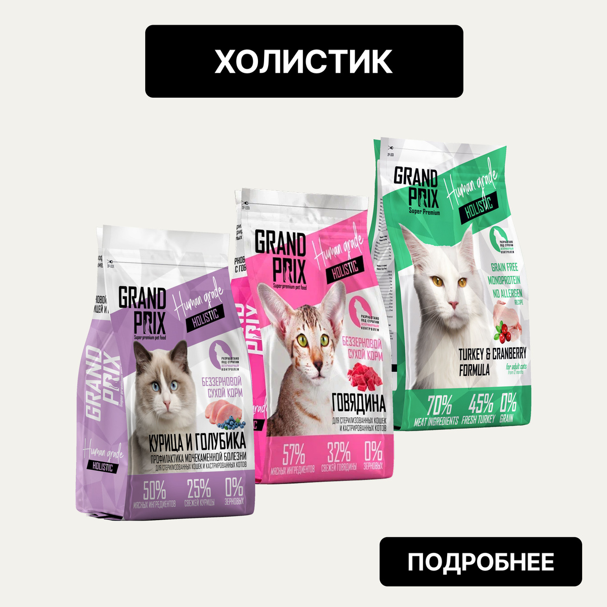 холистик