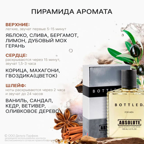 Туалетная вода мужская Absolute Bottled 100 мл. купить на OZON по