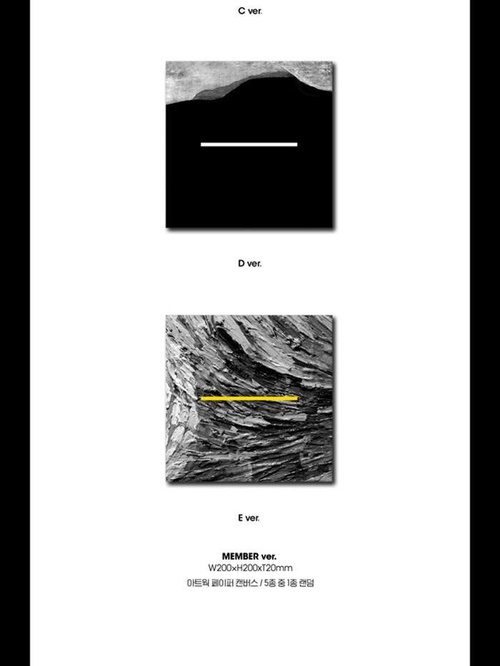 Альбом BIGBANG - MADE THE FULL ALBUM RANDOM Version купить на OZON