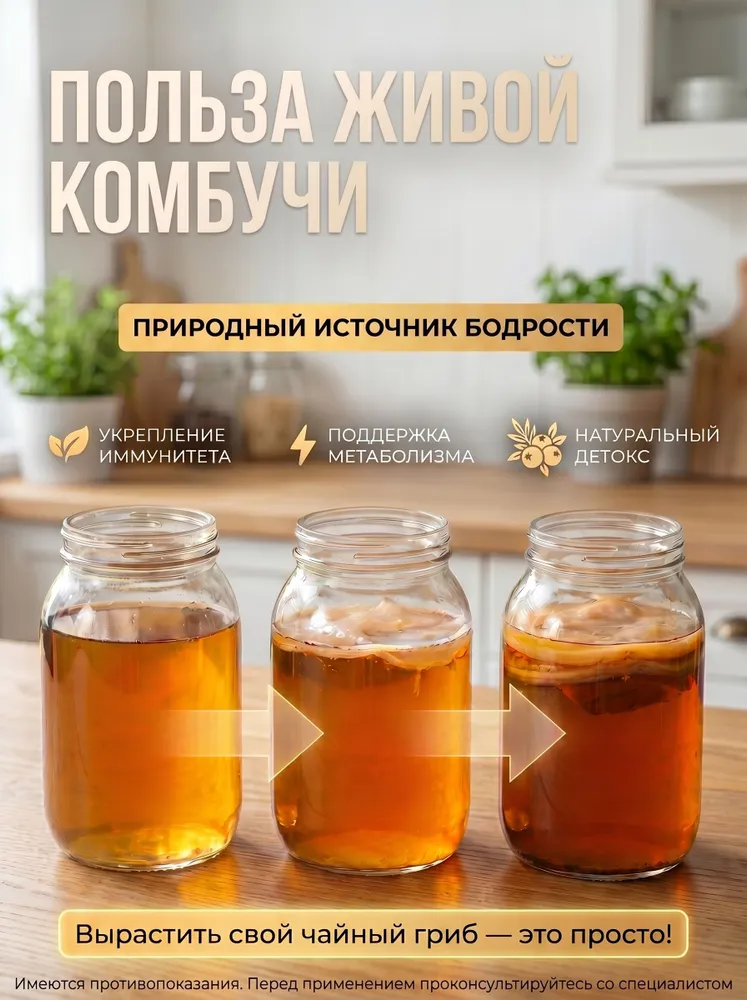 Чайный гриб: живая закваска для комбучи, вариант, фото 3