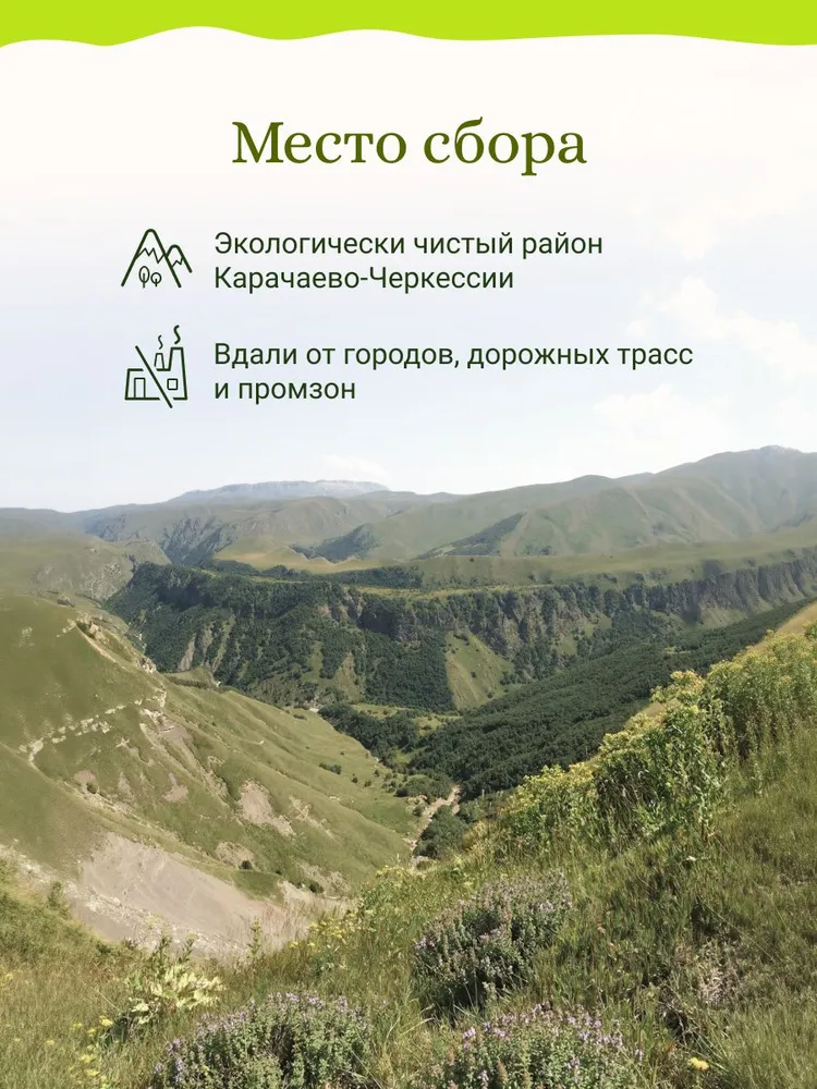 Корень лопуха измельченный (Кавказ), вариант, фото 4