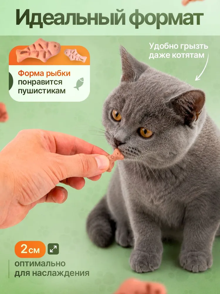 Лакомства для кошек с лососем и кошачьей мятой, 100 г, 100 г, фото 4