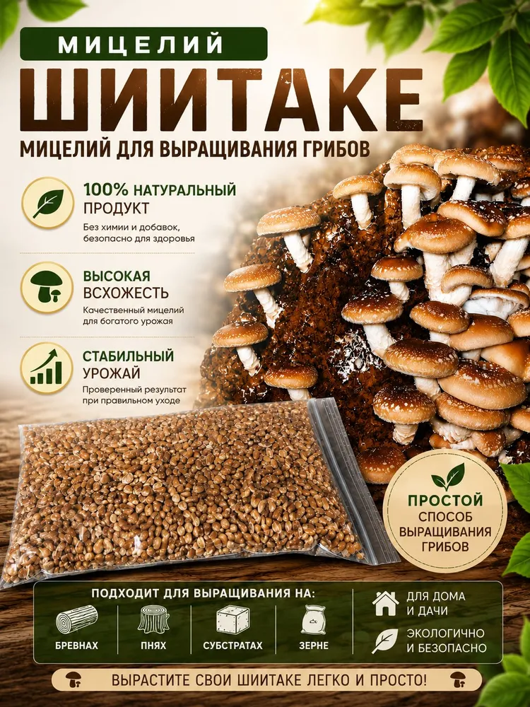 Мицелий шиитаке зерновой (штамм А)/250, вариант