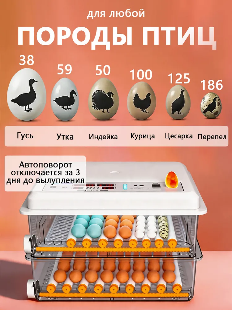 100 яиц, BEVEACE Автоматический интеллектуальный домашний инкубатор для яиц, Регулирование температуры и влажности,овоскопом, автоповоротом, AC220V, один источник питания, вариант, фото 3