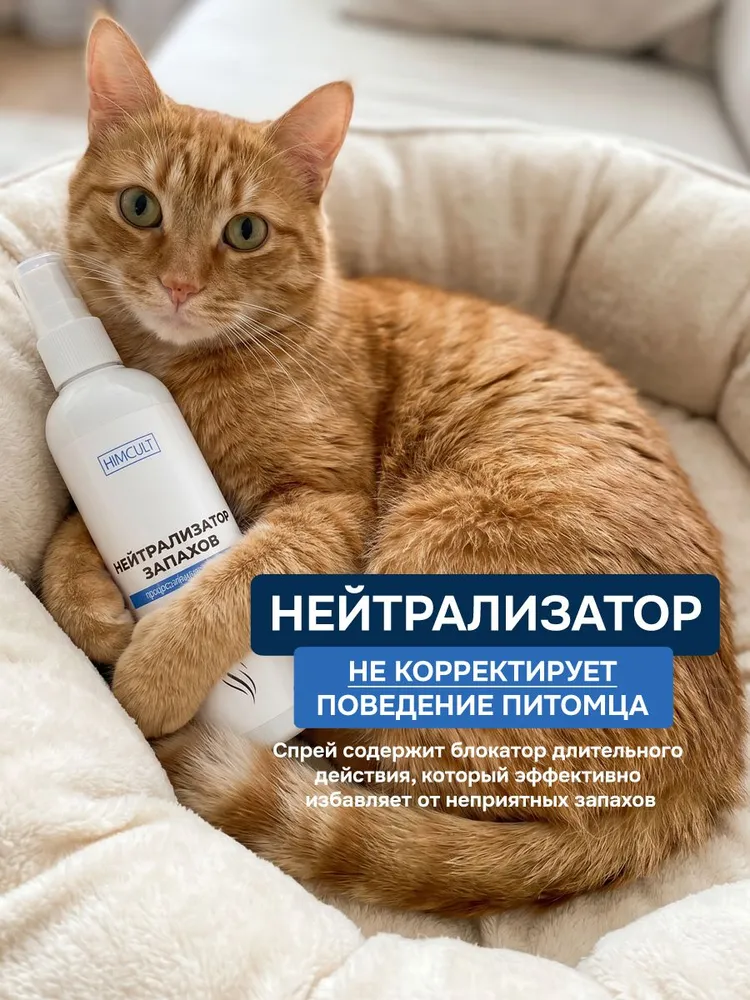 Нейтрализатор, ликвидатор запахов животных, кошачьего туалета, кошачьей мочи и мочи собак, средство для уборки, вариант, фото 6