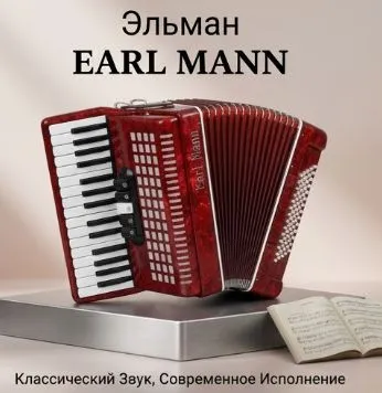 Аккордеон Earl Mann профессиональный 41 клавиша 120 басов 7/2 регистра, красный, с футляром, красный, фото 3