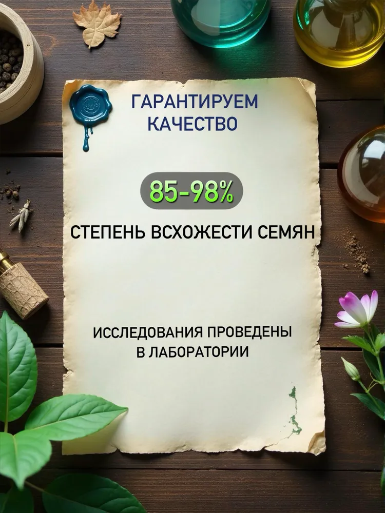 Аэлита Семена ,1шт, 1 шт, фото 6