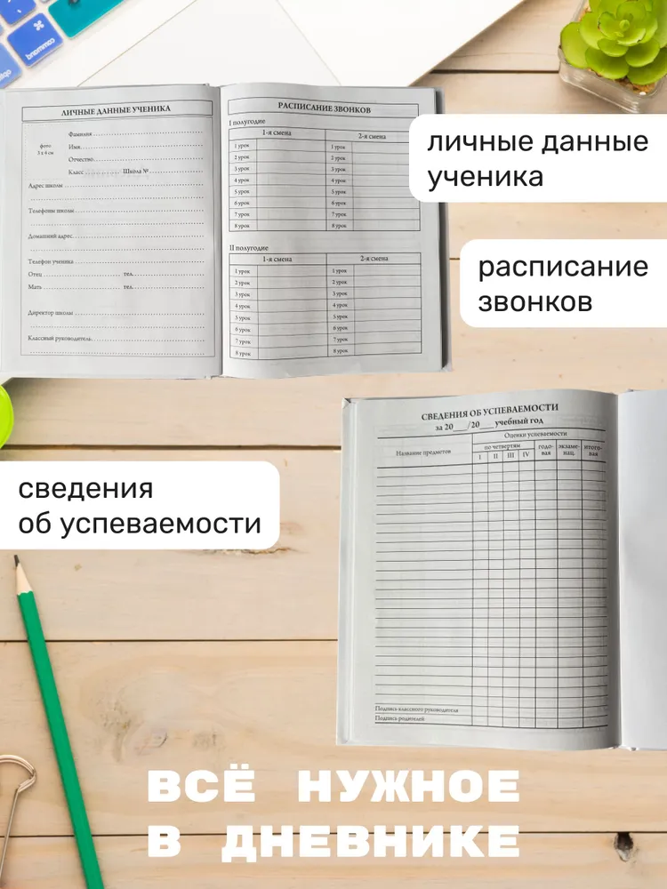 Дневник школьный для 1-11 класса твердая обложка, вариант, фото 4