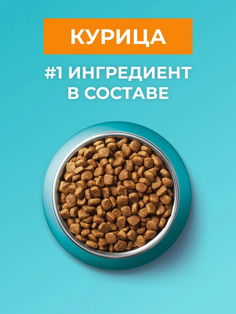 Сухой корм для кошек Purina ONE для стерилизованных, с курицей и цельными злаками, 1,5 кг, 1,5 кг, фото 4