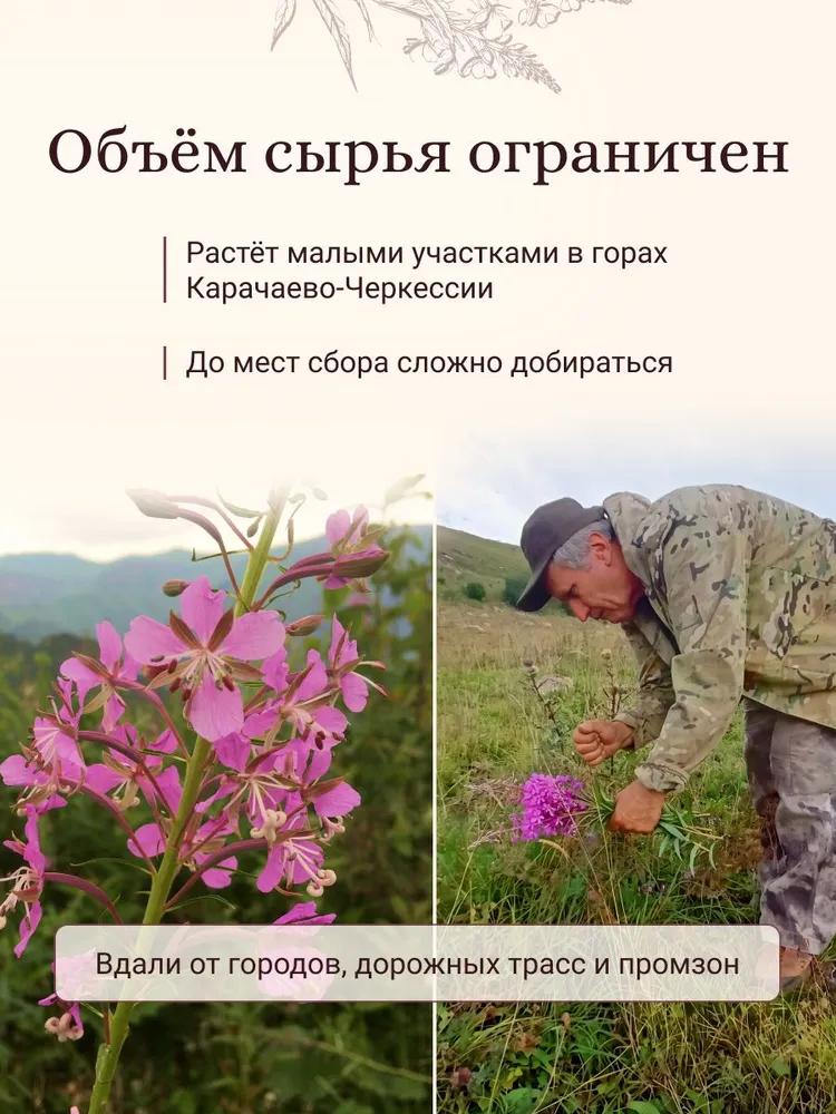 Иван чай ферментированный листовой Высокогорный (Кавказ), вариант, фото 3