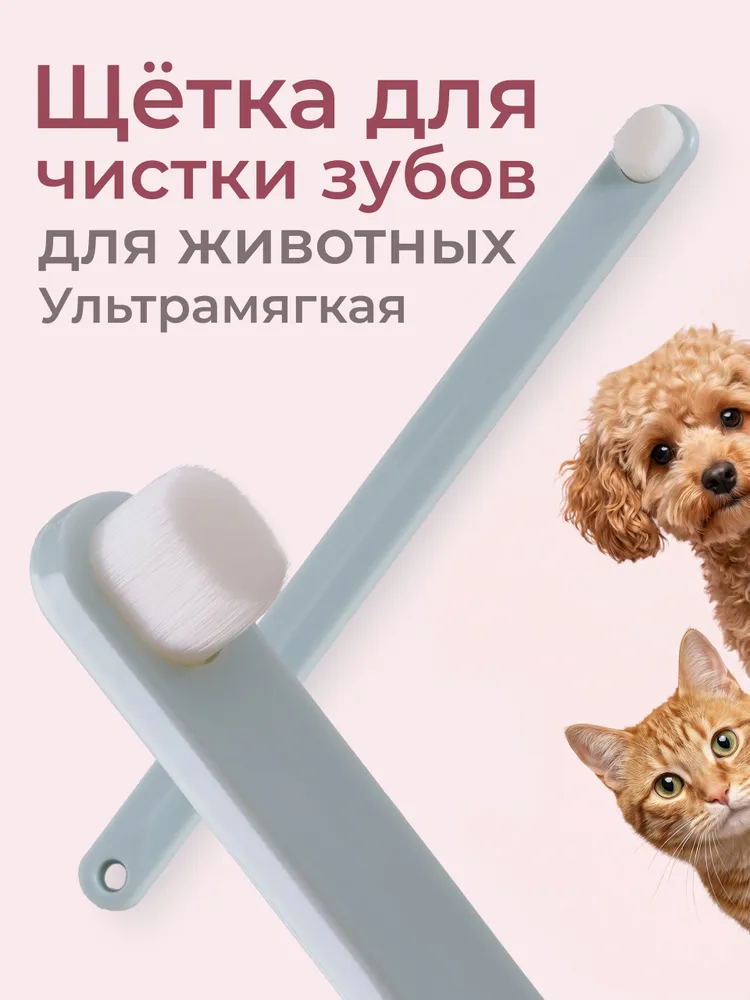 Зубная щетка для кошек и собак в футляре, вариант
