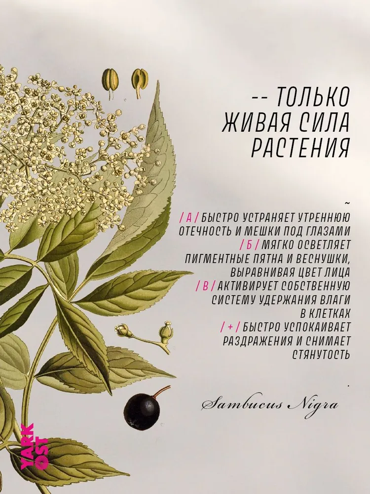YARKOST / Гидролат для лица натуральный, спрей, тоник Бузина Черная(цветки)/ Sambucus nigra 90мл., 90 мл, фото 3