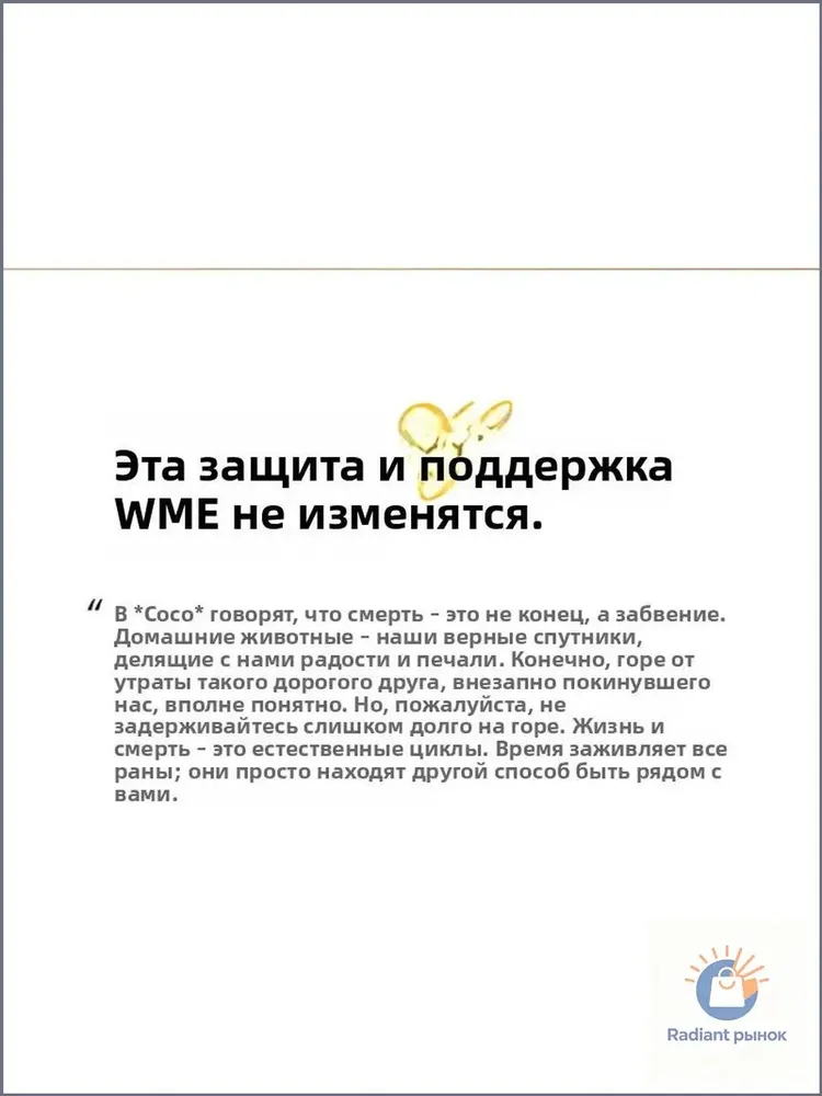 Коробки для животных, керамика: герметичные контейнеры с крышками для кошек и собак, ритуальные принадлежности для домашних животных, вариант, фото 3